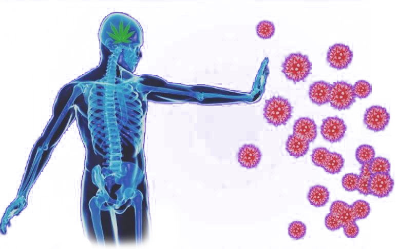 Kozmik Enerji Kanalları